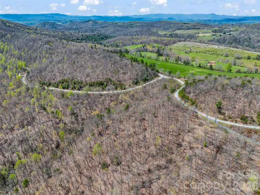 280 Eastman Place Mill Spring, NC 28756