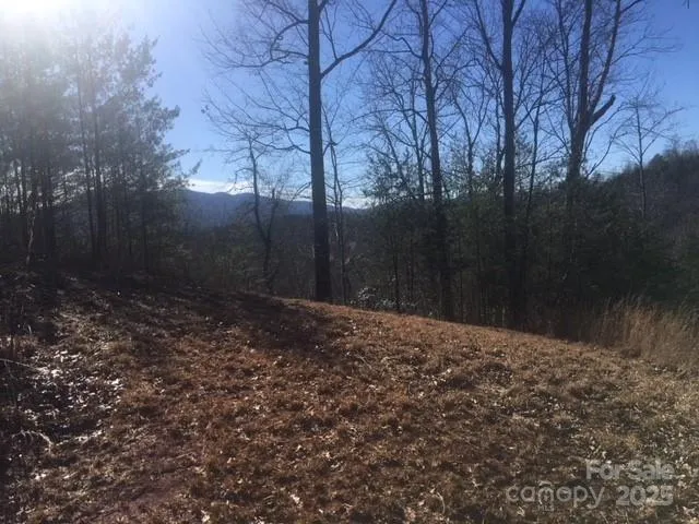 30 Mountain Parkway Mill Spring, NC 28756