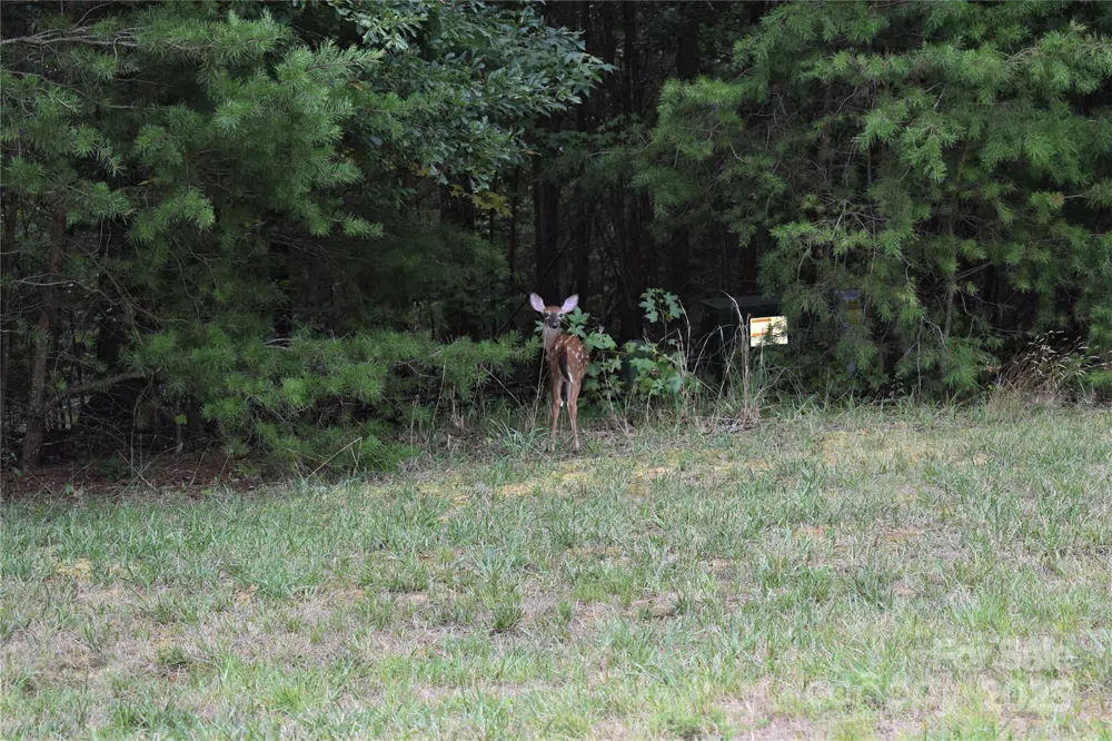 133 Badin View Drive Badin Lake, NC 28127