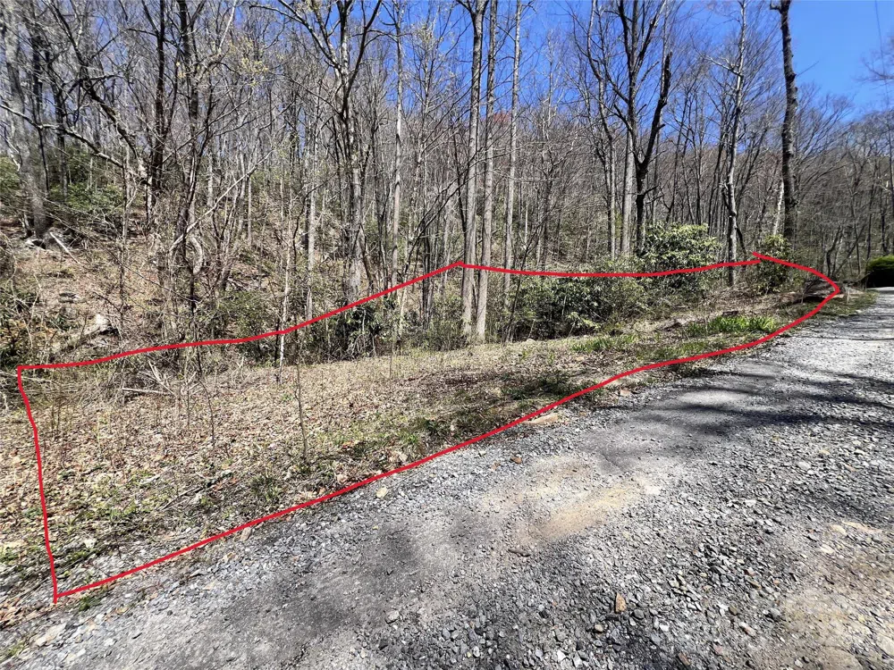 000 Pisgah Mountain Road Canton, NC 28716
