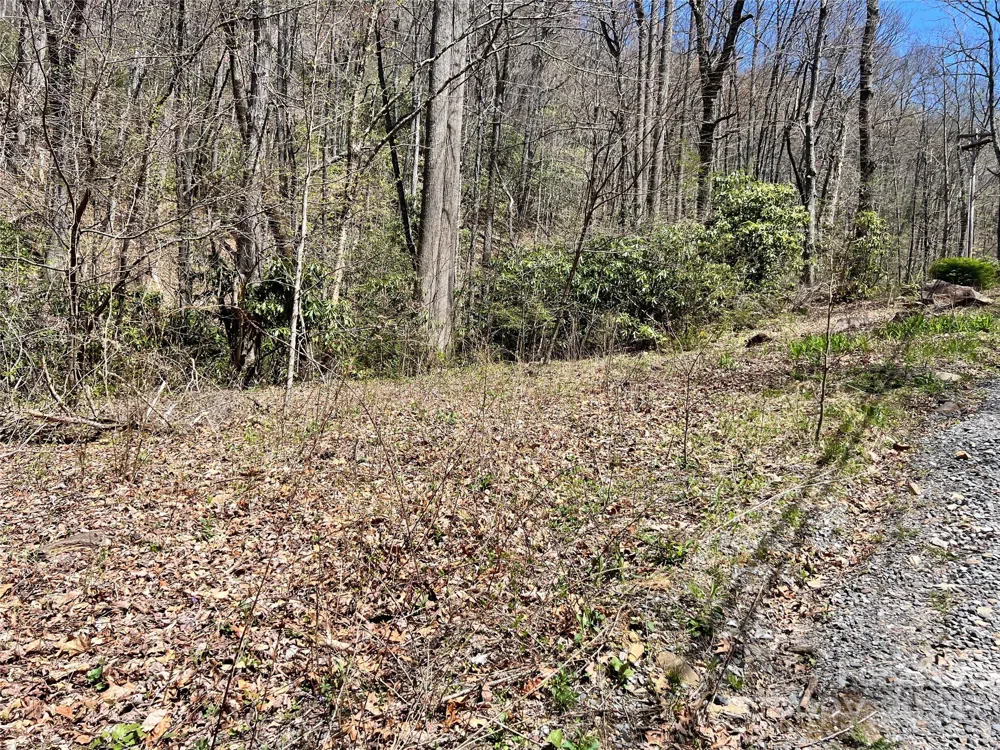 000 Pisgah Mountain Road Canton, NC 28716