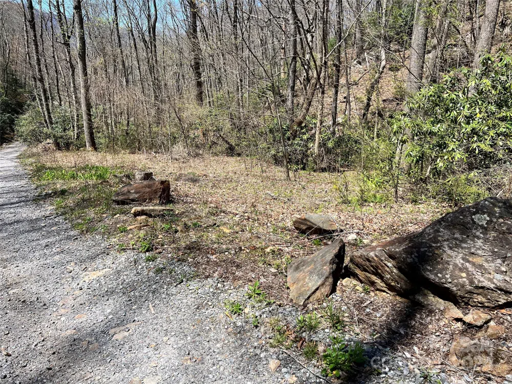 000 Pisgah Mountain Road Canton, NC 28716
