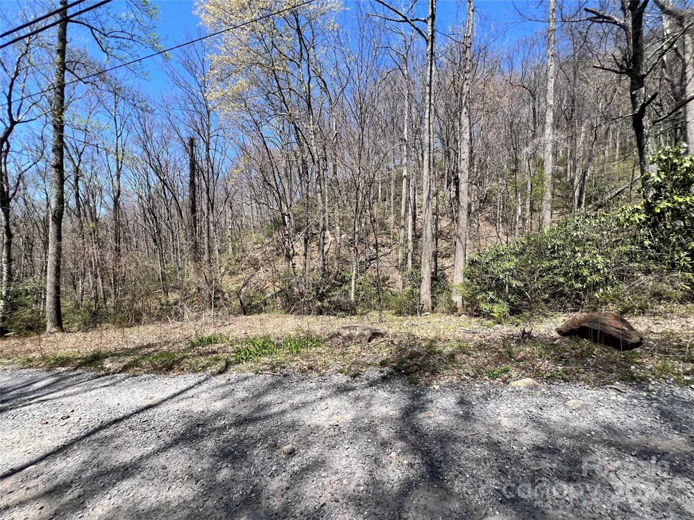 000 Pisgah Mountain Road Canton, NC 28716