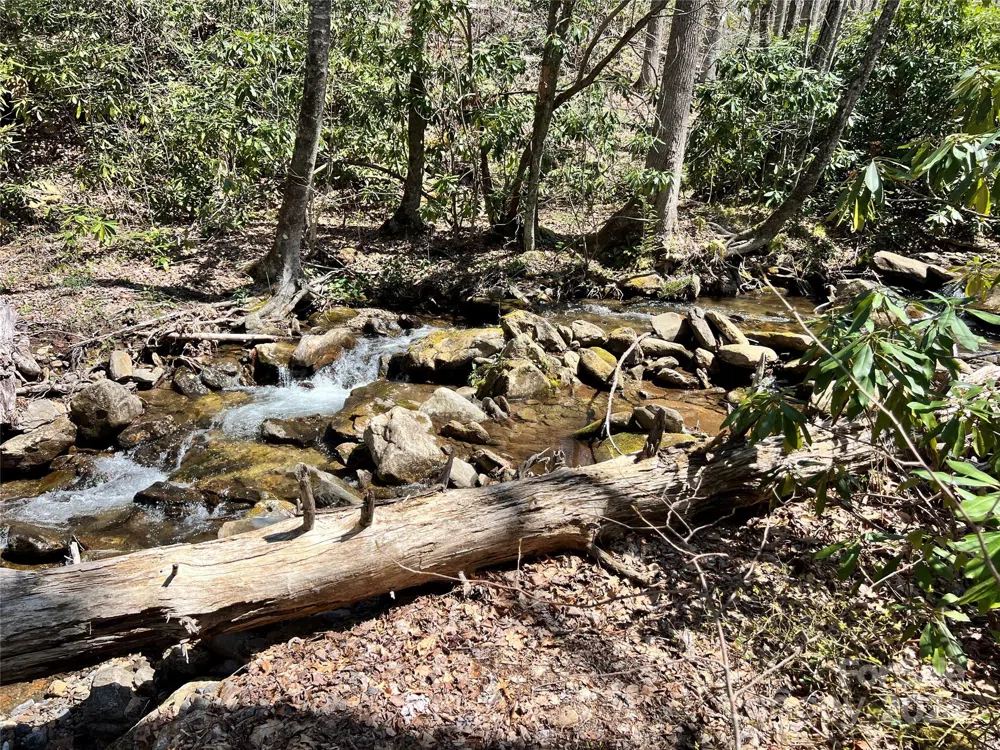 000 Pisgah Mountain Road Canton, NC 28716