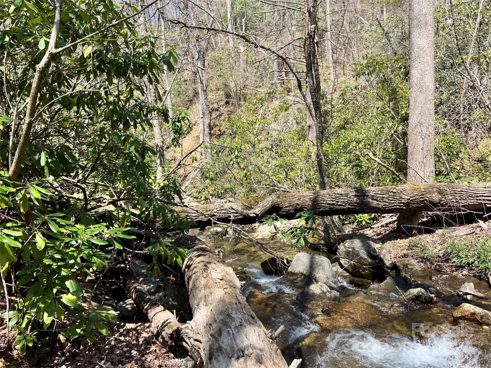 000 Pisgah Mountain Road Canton, NC 28716