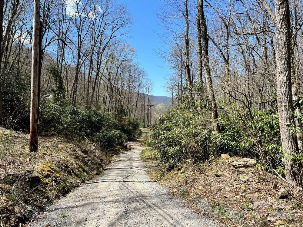 000 Pisgah Mountain Road Canton, NC 28716