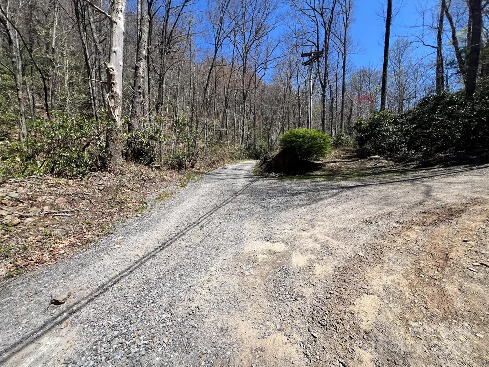 000 Pisgah Mountain Road Canton, NC 28716