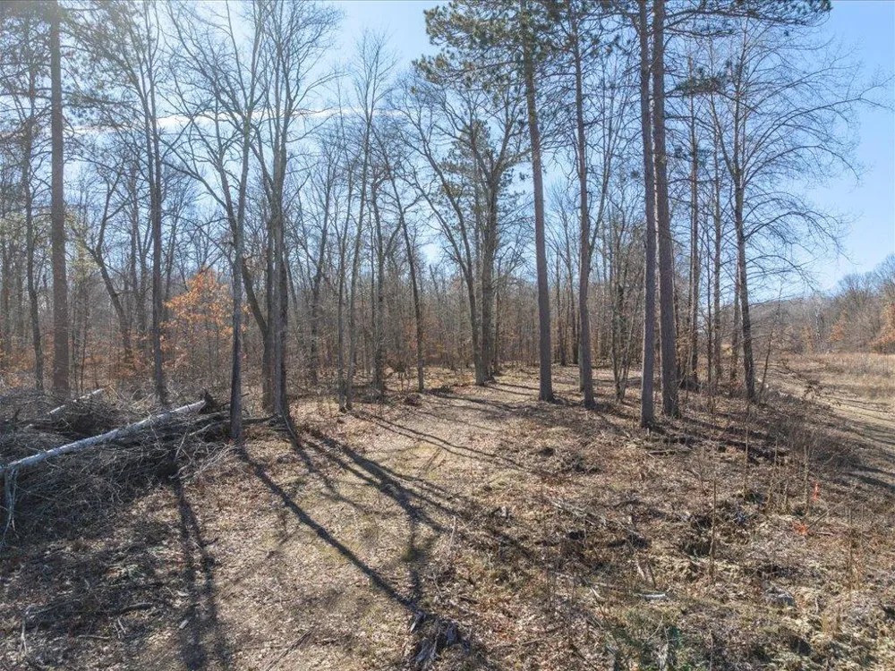 TBD Lot 1 & Lot 2 ParWest Drive ParWest Drive Emily, MN 56447