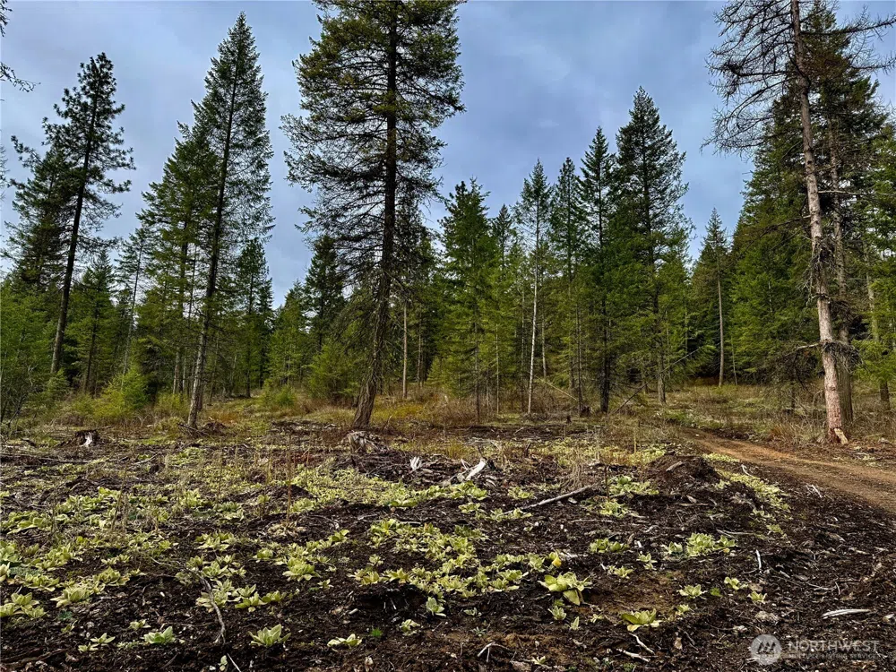 6200 Brisbois Road #D Fruitland, WA 99129