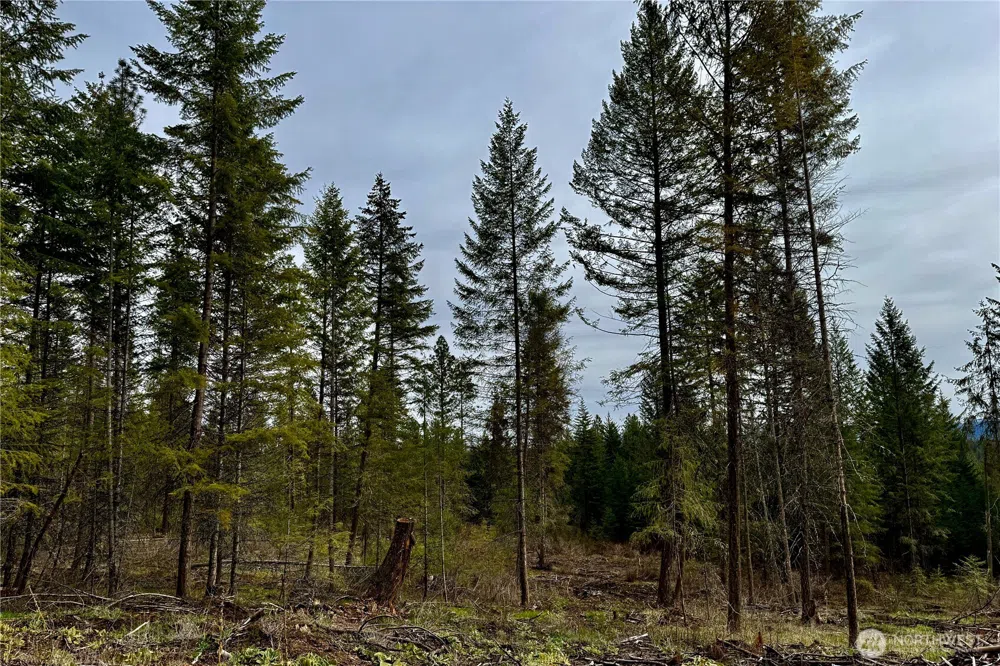 6200 Brisbois Road #D Fruitland, WA 99129