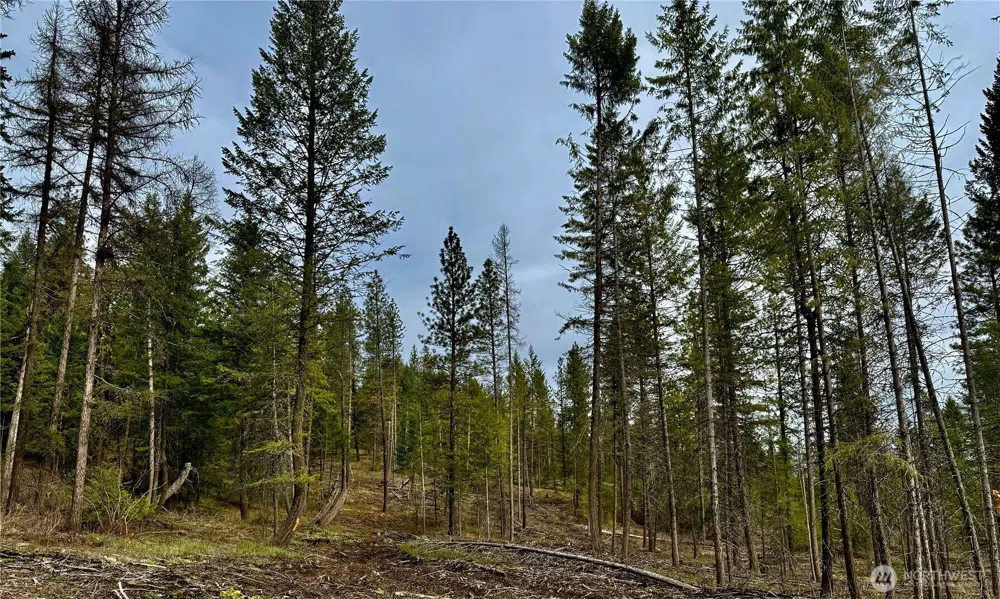 6200 Brisbois Road #D Fruitland, WA 99129