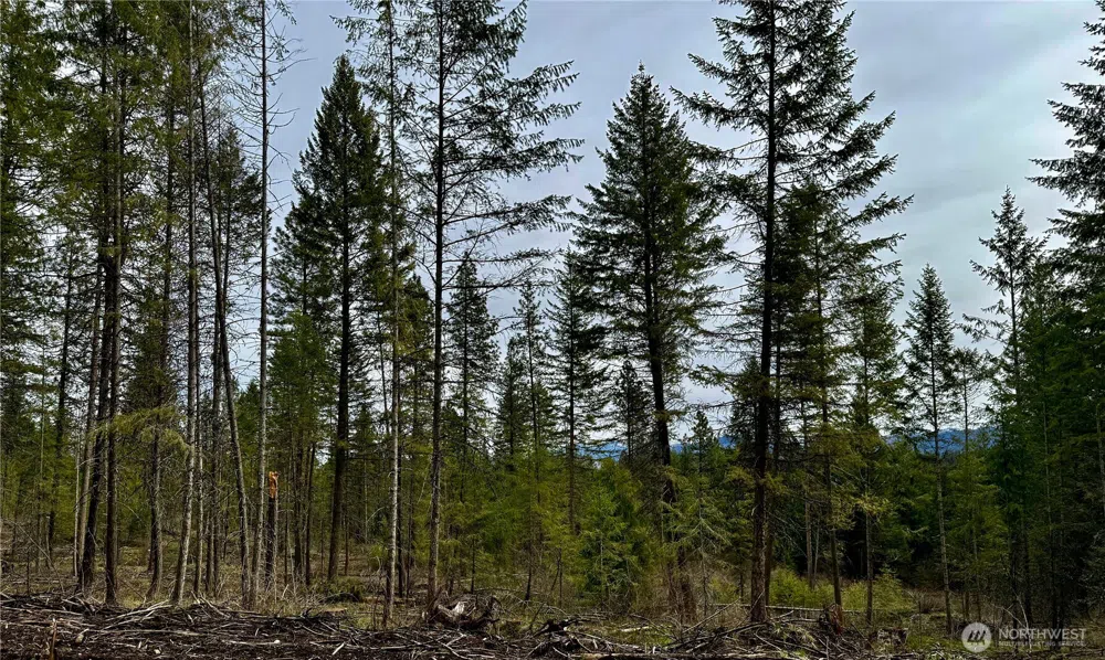 6200 Brisbois Road #D Fruitland, WA 99129