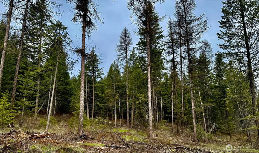 6200 Brisbois Road #D Fruitland, WA 99129