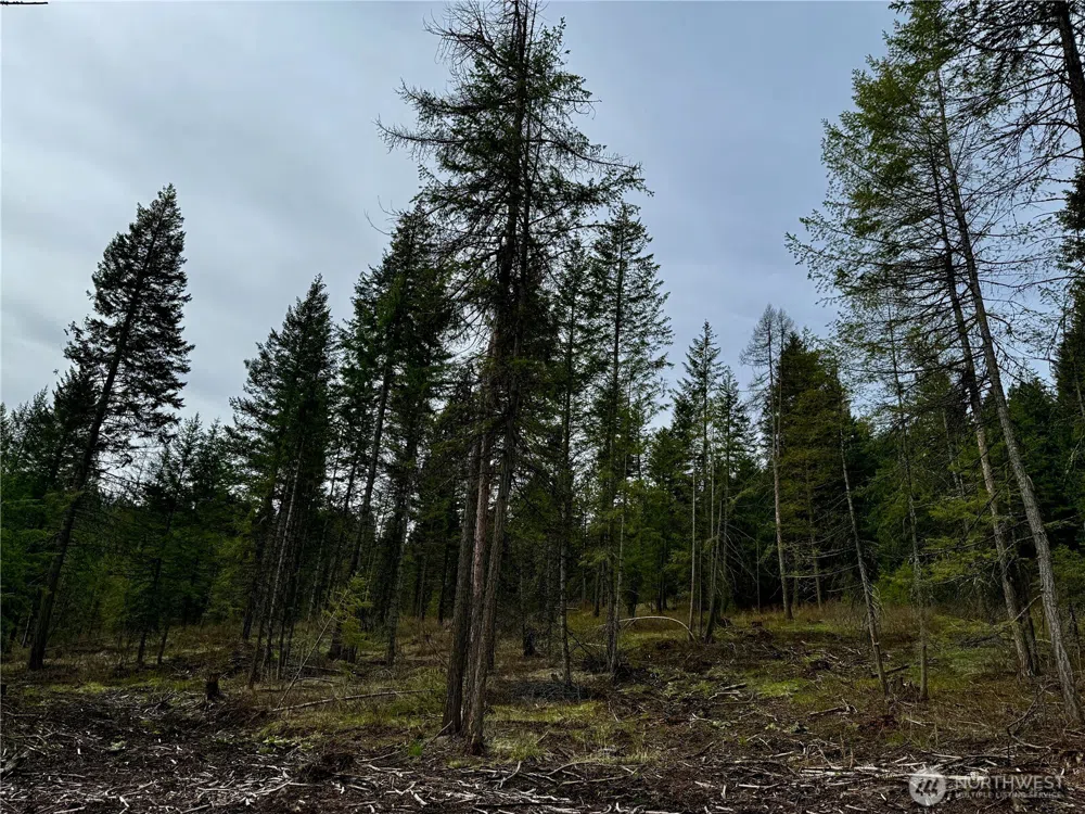 6200 Brisbois Road #D Fruitland, WA 99129