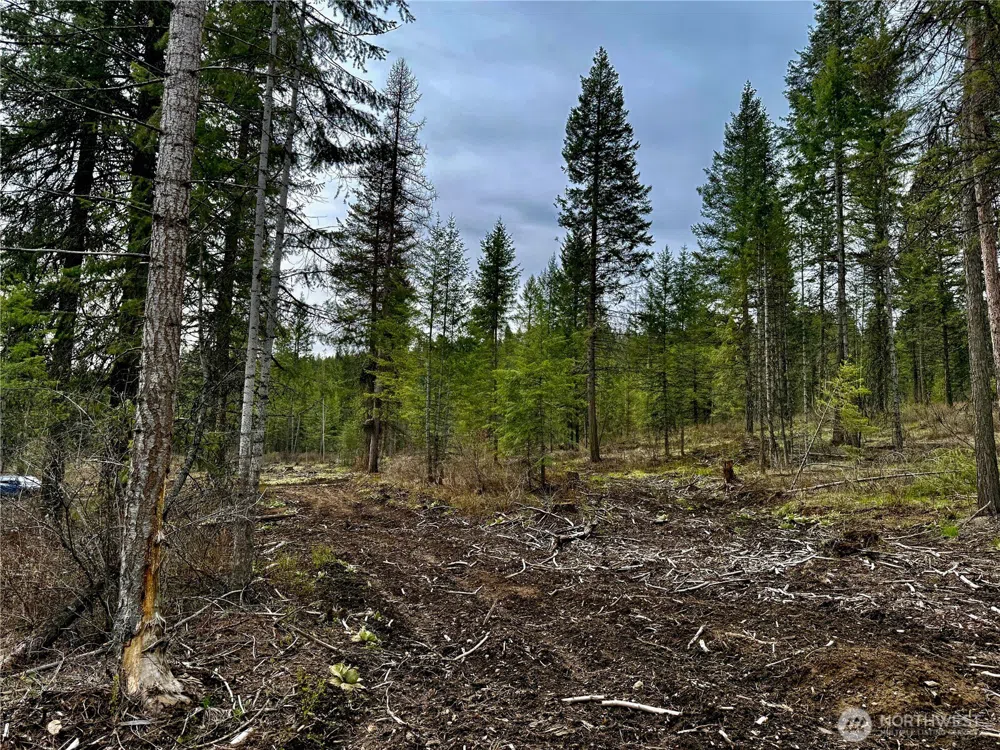 6200 Brisbois Road #D Fruitland, WA 99129