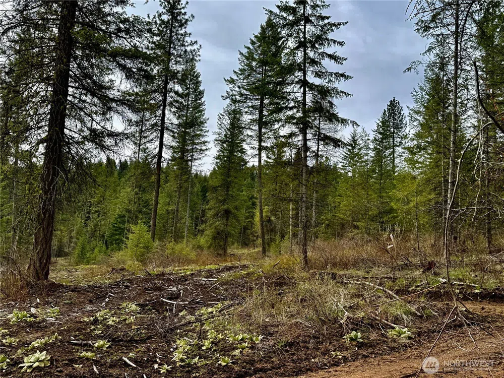 6200 Brisbois Road #D Fruitland, WA 99129