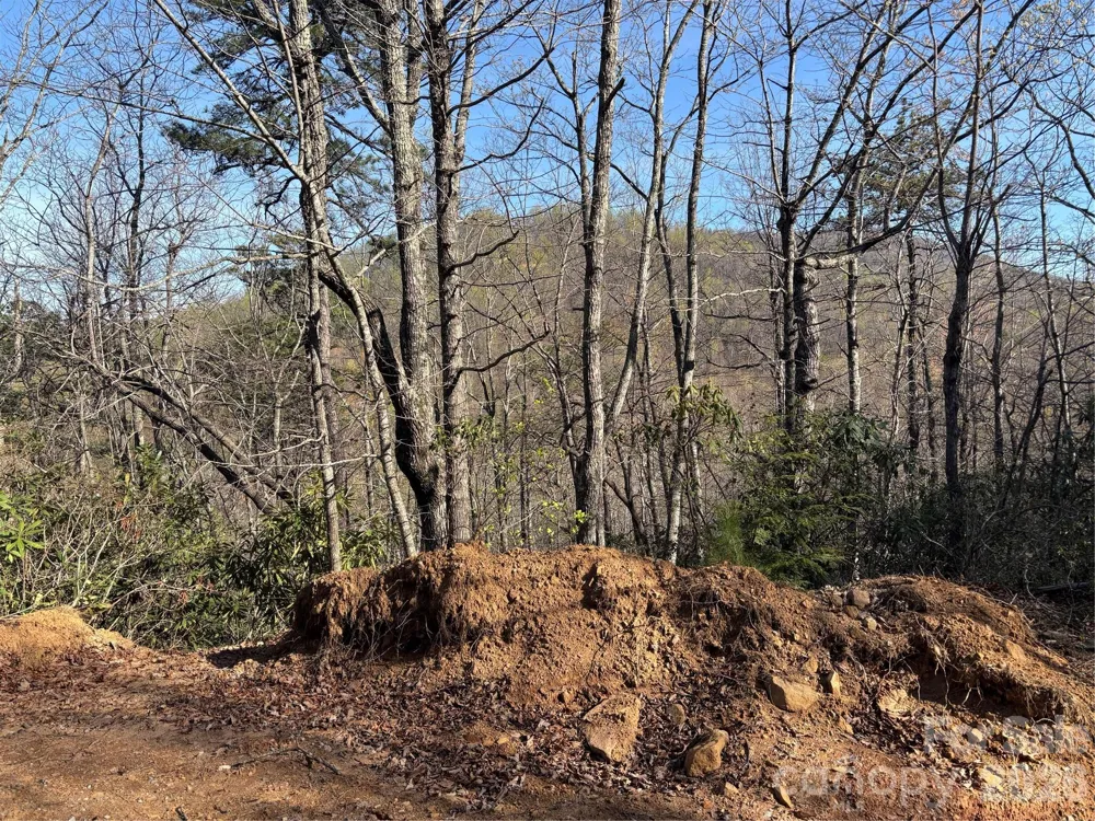 00 Kathy Lake Drive #24/25 Edneyville, NC 28792