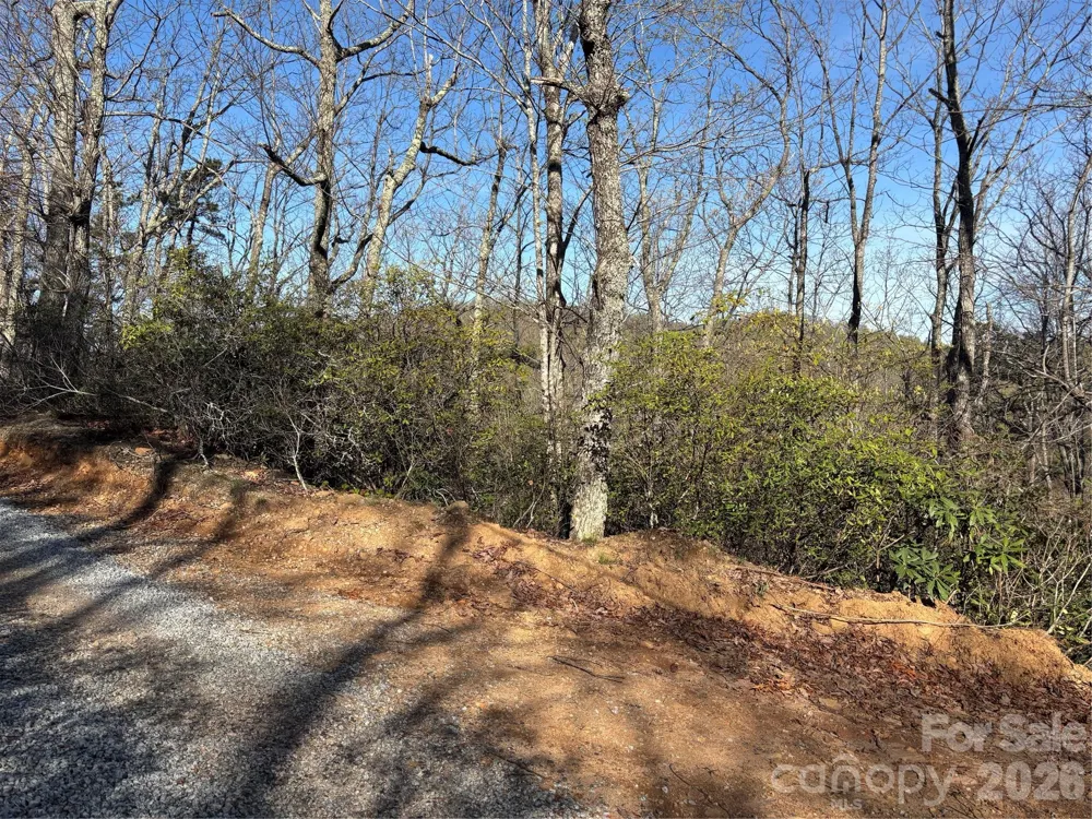 00 Kathy Lake Drive #24/25 Edneyville, NC 28792