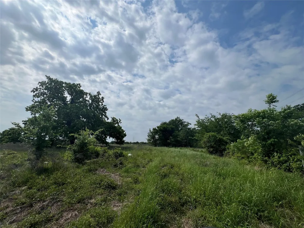 1 County Road 123 Iola, TX 77861