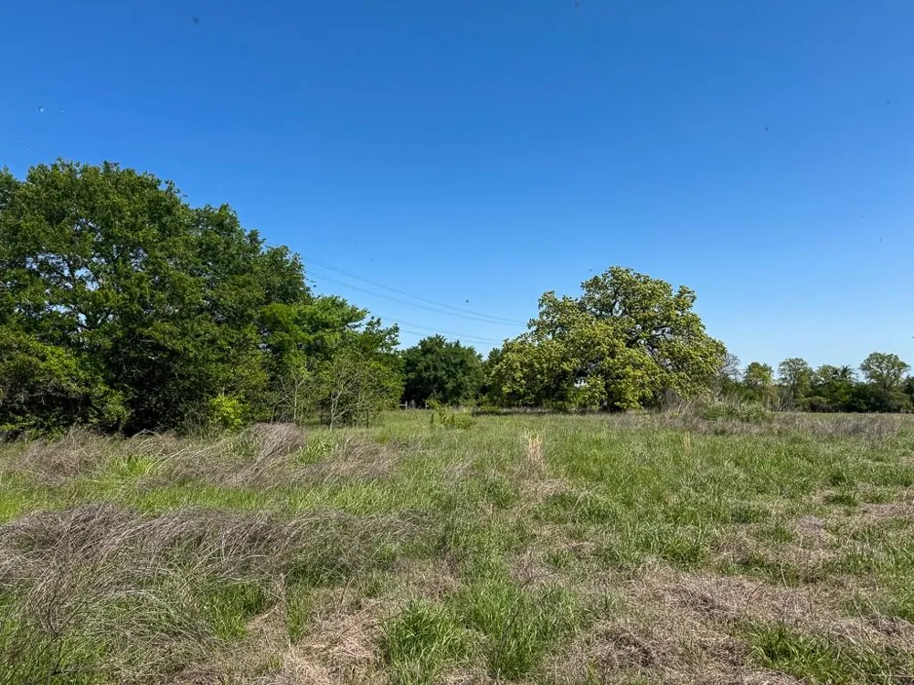 1 County Road 123 Iola, TX 77861
