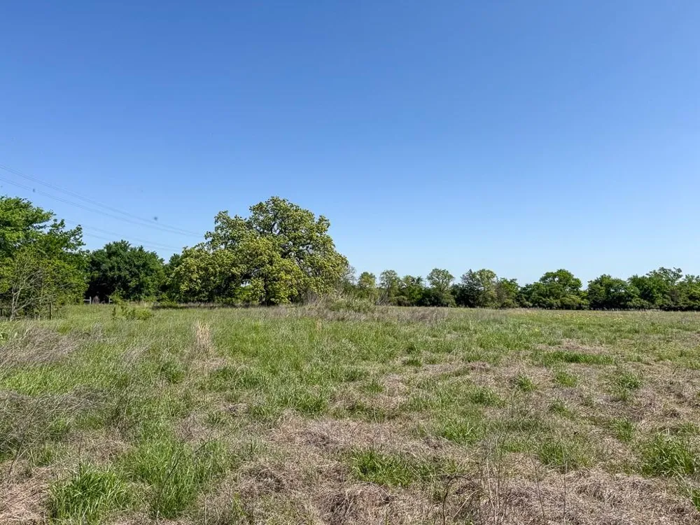 1 County Road 123 Iola, TX 77861
