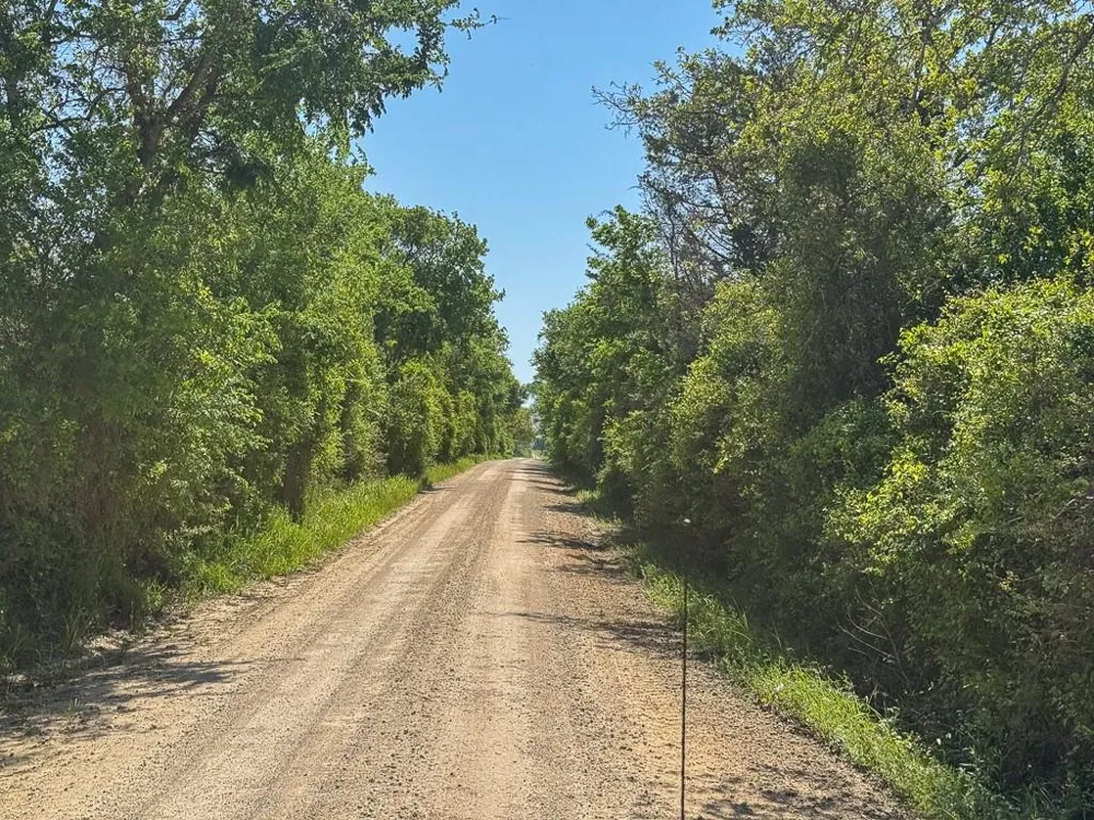 1 County Road 123 Iola, TX 77861