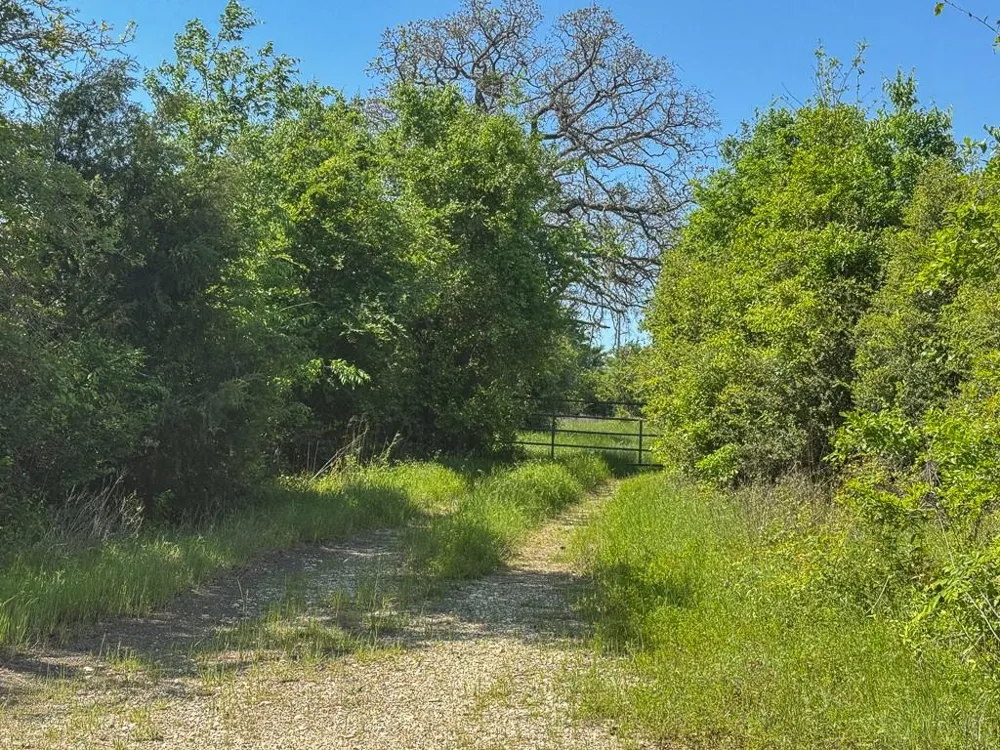 1 County Road 123 Iola, TX 77861