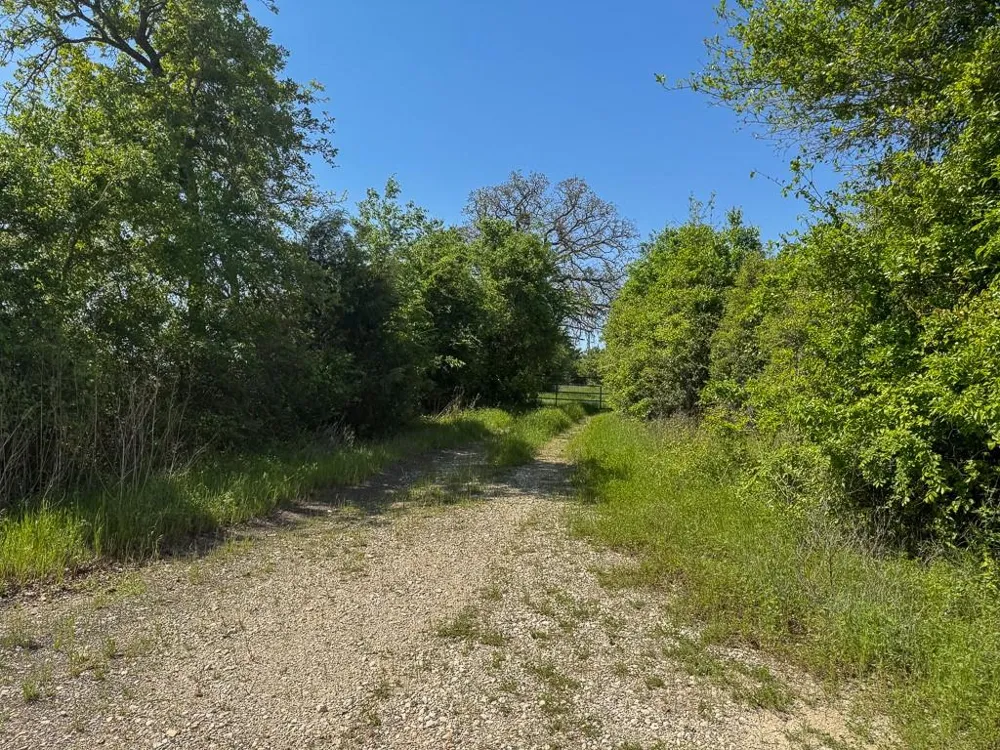 1 County Road 123 Iola, TX 77861