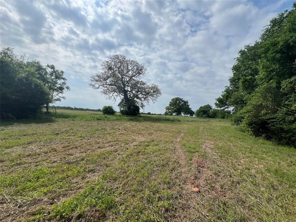1 County Road 123 Iola, TX 77861