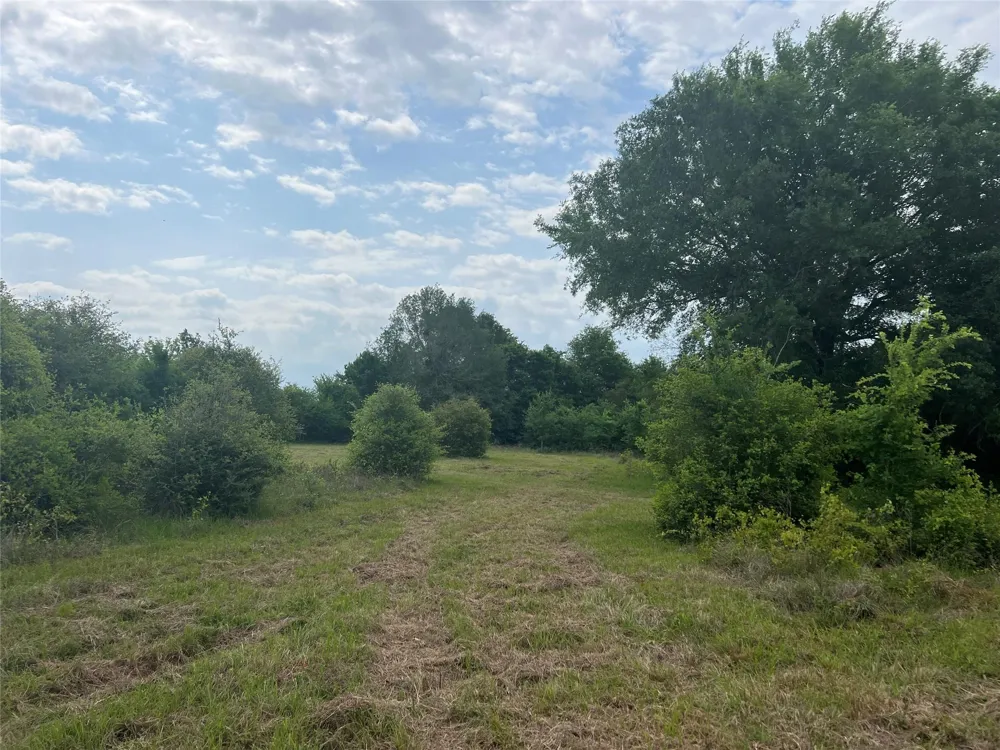 1 County Road 123 Iola, TX 77861