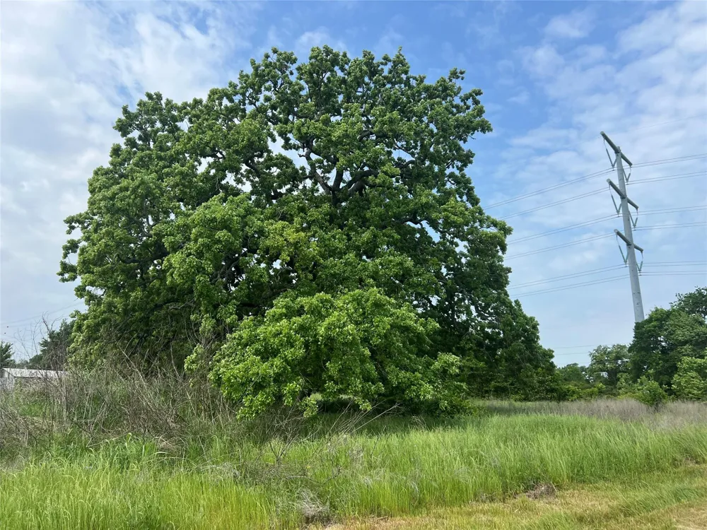 1 County Road 123 Iola, TX 77861