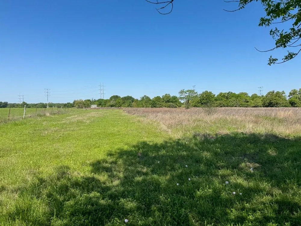 3 County Road 124 Iola, TX 77861