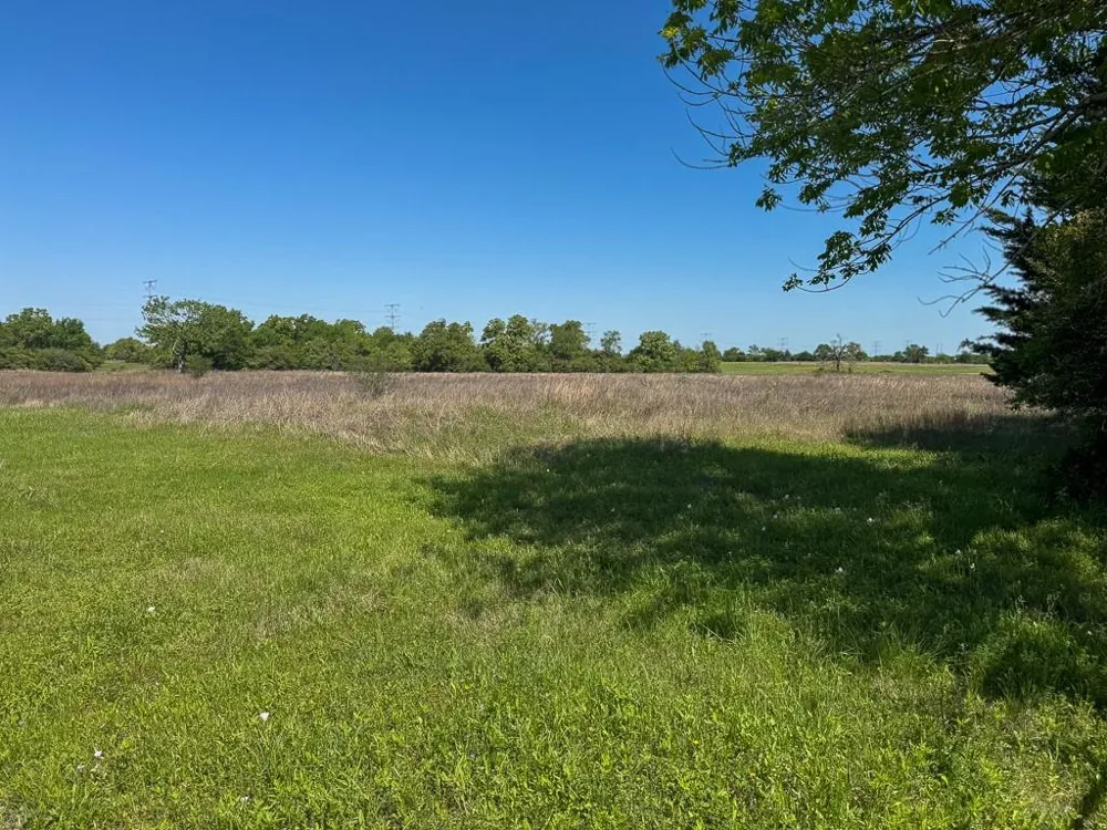 3 County Road 124 Iola, TX 77861