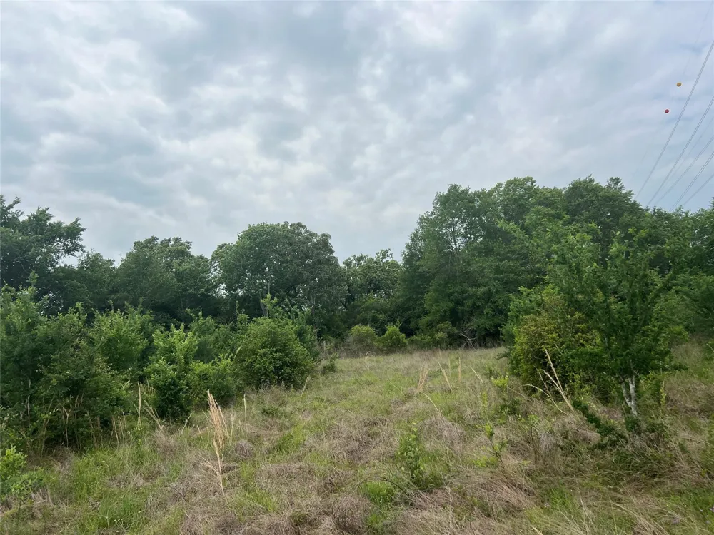 3 County Road 124 Iola, TX 77861