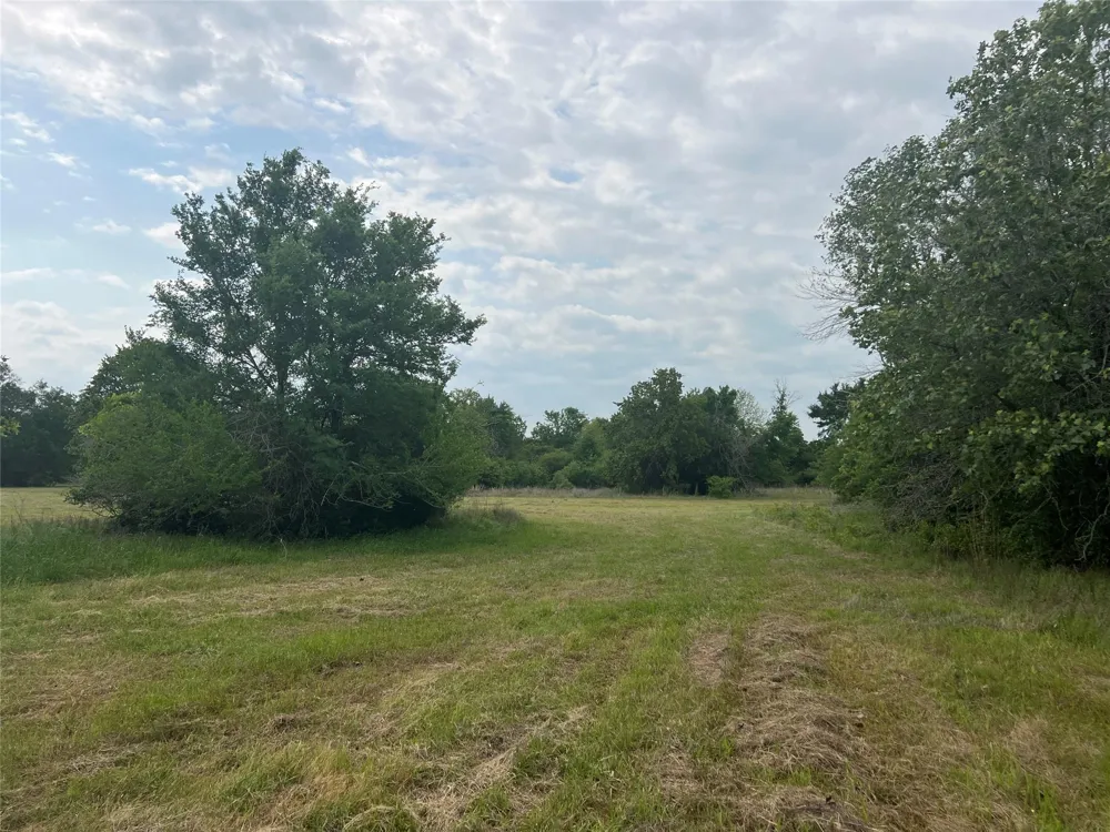 3 County Road 124 Iola, TX 77861