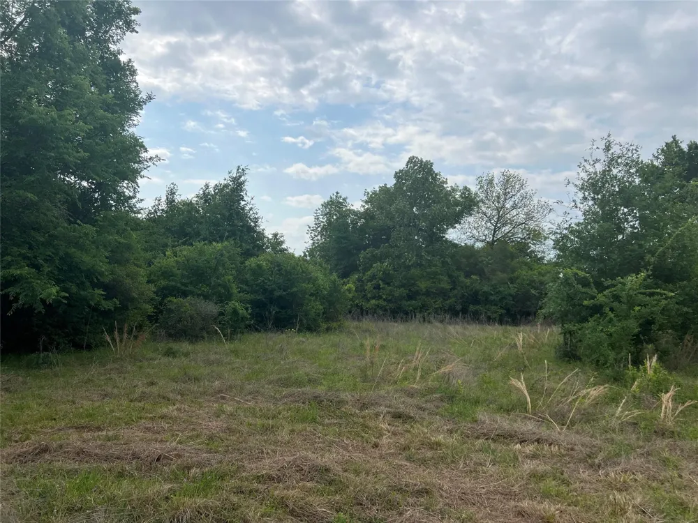 3 County Road 124 Iola, TX 77861