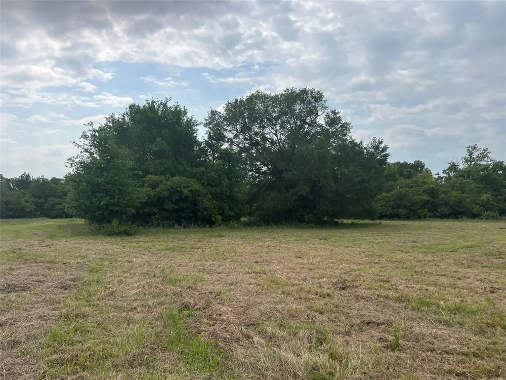 3 County Road 124 Iola, TX 77861