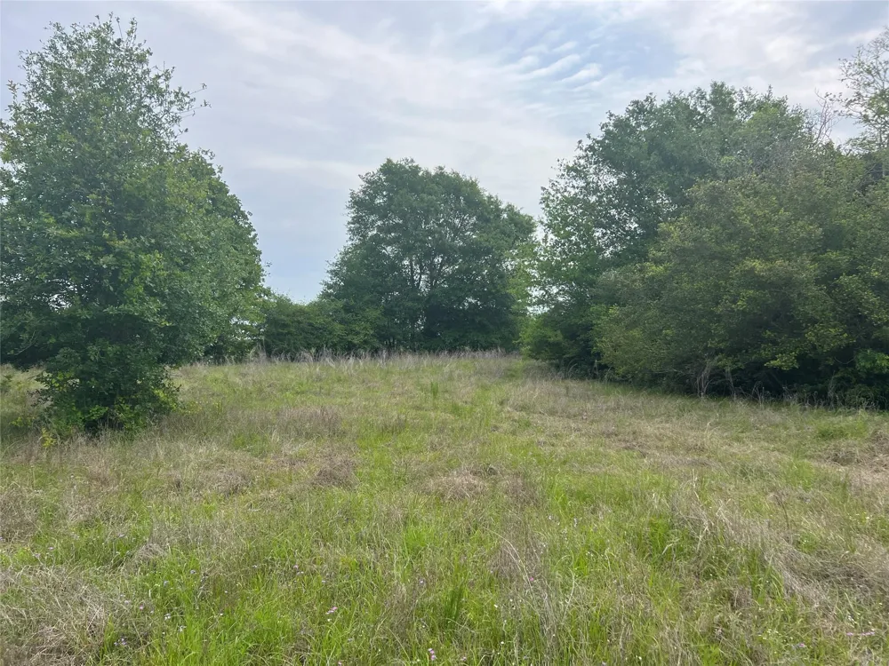 3 County Road 124 Iola, TX 77861