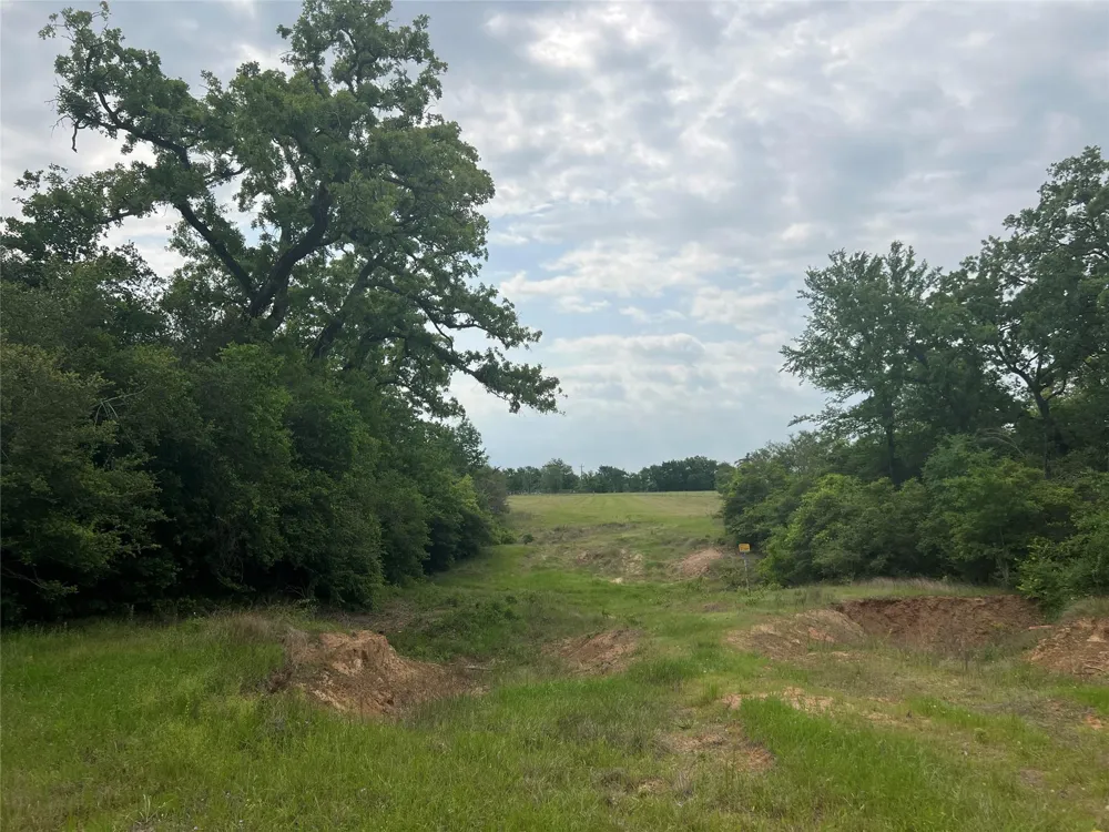 3 County Road 124 Iola, TX 77861