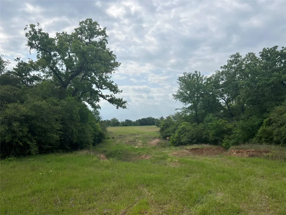 3 County Road 124 Iola, TX 77861