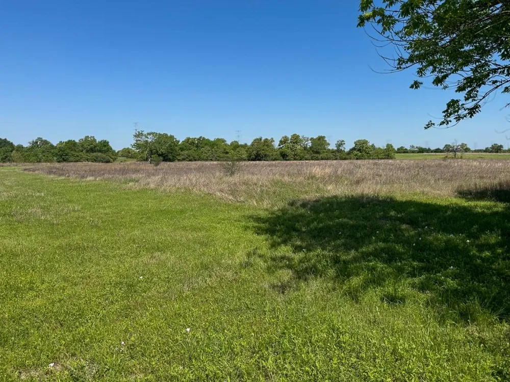 3 County Road 124 Iola, TX 77861
