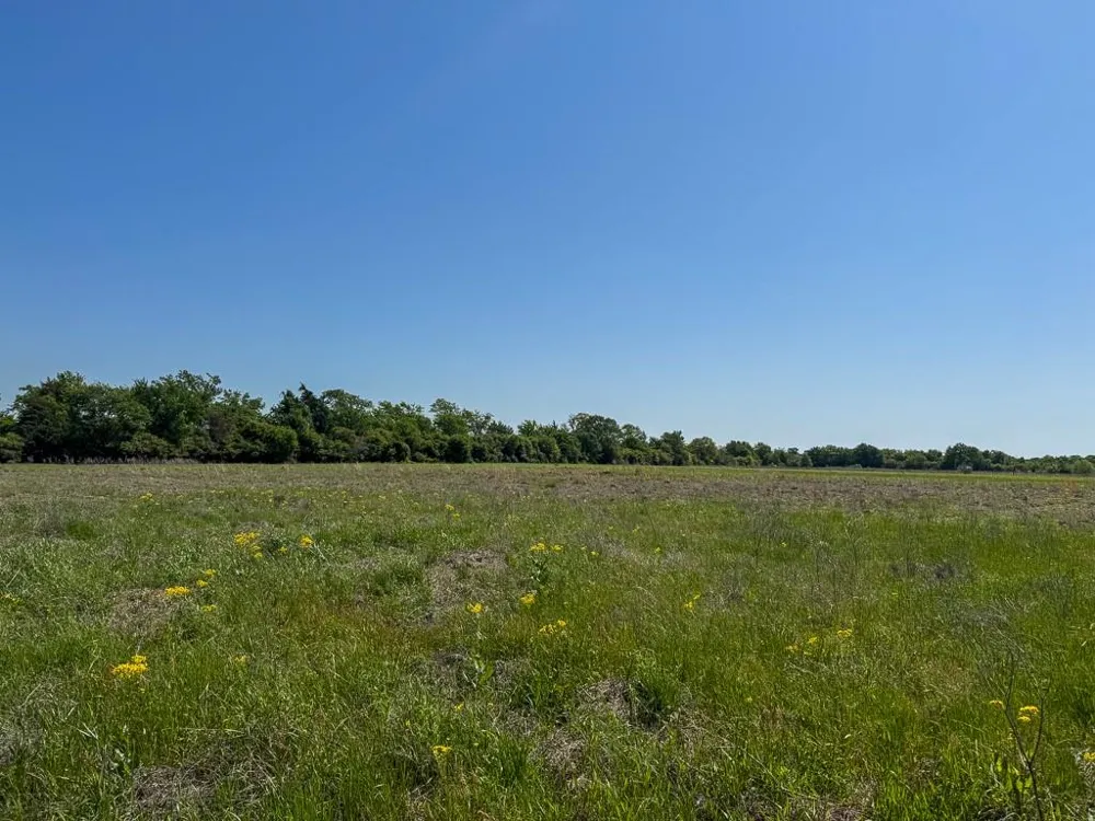 2 County Road 123 Iola, TX 77861