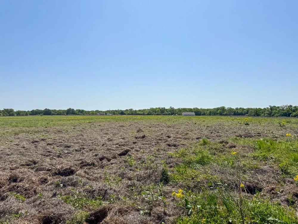 2 County Road 123 Iola, TX 77861