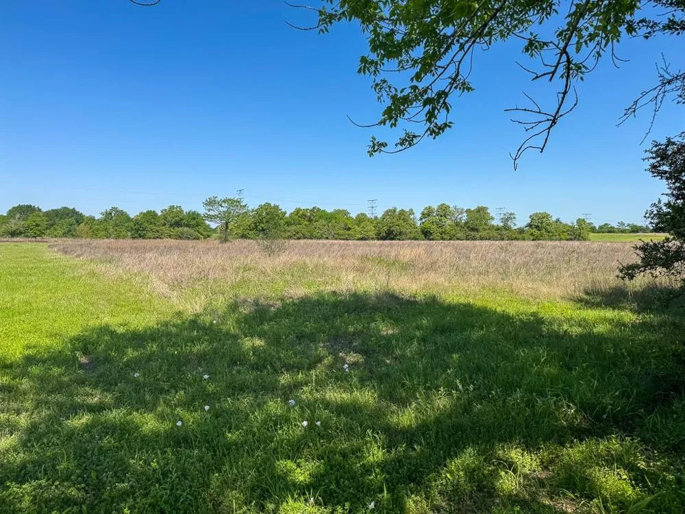 2 County Road 123 Iola, TX 77861