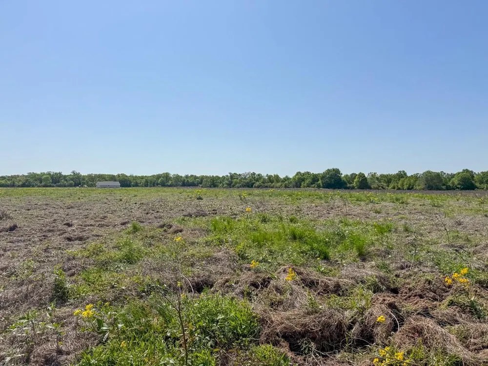 2 County Road 123 Iola, TX 77861