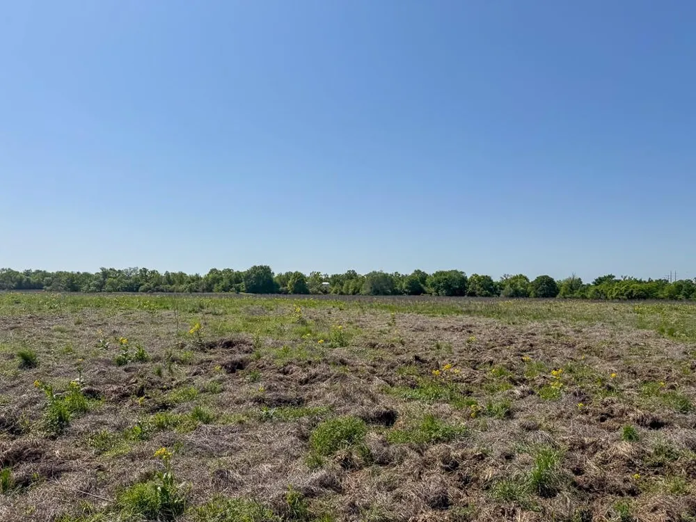2 County Road 123 Iola, TX 77861