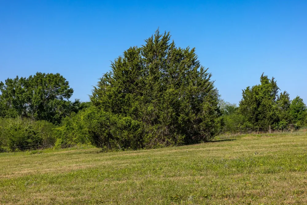 Sauney Chapel Road Chappell Hill, TX 77426