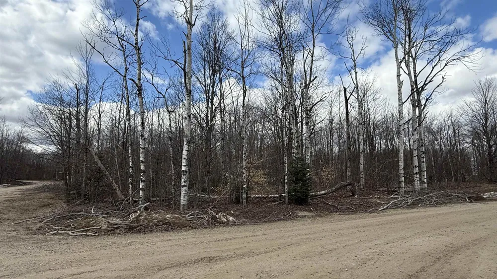 Hollyglen Drive Mancelona Township, MI 49659