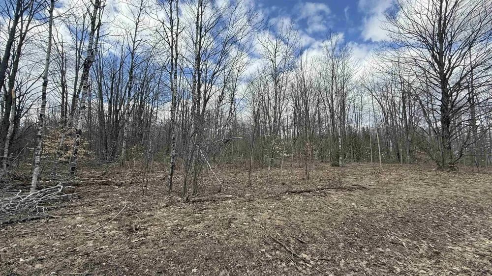 Hollyglen Drive Mancelona Township, MI 49659