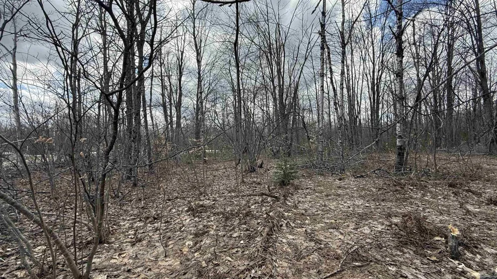 Hollyglen Drive Mancelona Township, MI 49659